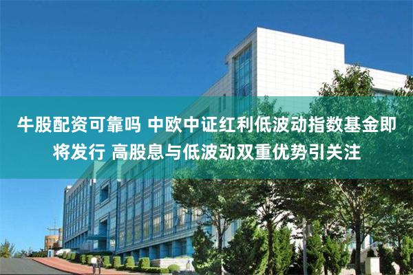 牛股配资可靠吗 中欧中证红利低波动指数基金即将发行 高股息与低波动双重优势引关注