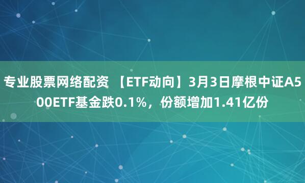 专业股票网络配资 【ETF动向】3月3日摩根中证A500ETF基金跌0.1%，份额增加1.41亿份