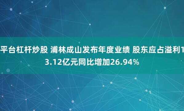 平台杠杆炒股 浦林成山发布年度业绩 股东应占溢利13.12亿元同比增加26.94%
