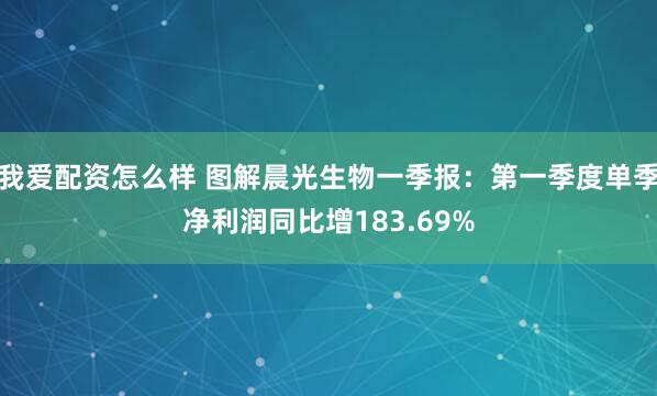 我爱配资怎么样 图解晨光生物一季报：第一季度单季净利润同比增183.69%