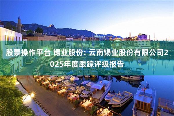 股票操作平台 锡业股份: 云南锡业股份有限公司2025年度跟踪评级报告