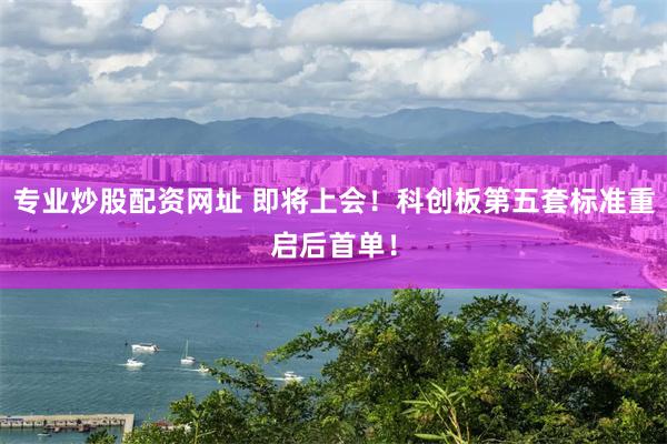 专业炒股配资网址 即将上会！科创板第五套标准重启后首单！
